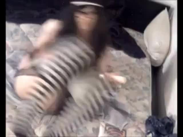 Watch Horny CD 110 Shemale Porn Videos | TranSexBig.