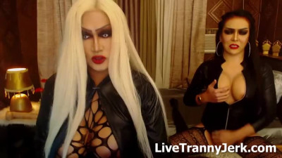 artsofdomination Cam Trans Cock