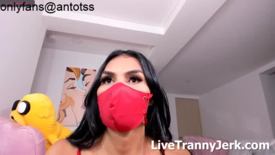 antotss Cam Trans Cock