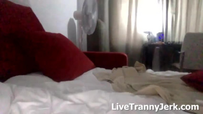 hannahbae Shemale Live Cum Show