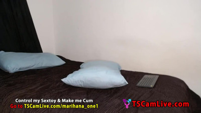 Horny Teen TGirl Couple Hot Blowjob on Webcam