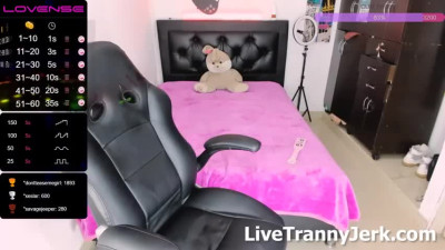 dante hotxx0 Shemale Live Cum Show
