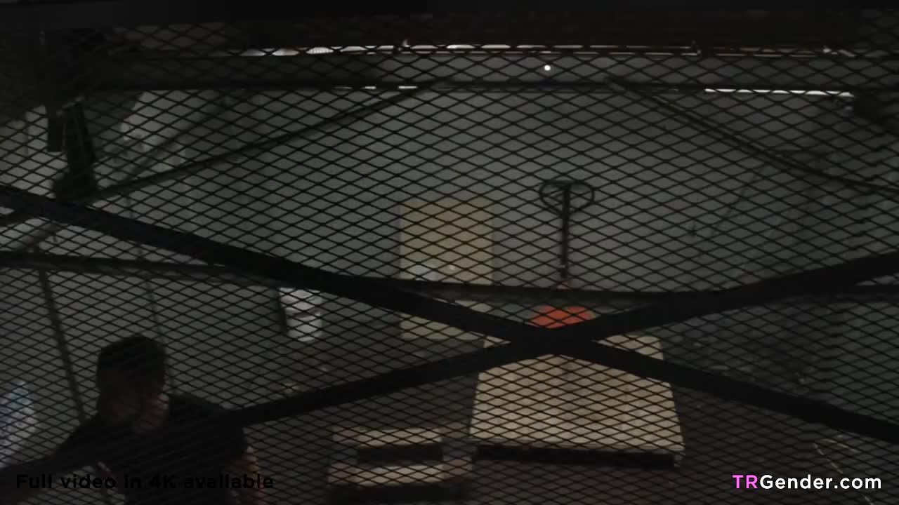 Watch Shemale Ariel and Dante are friends between benefits Shemale Porn Videos | TranSexBig.