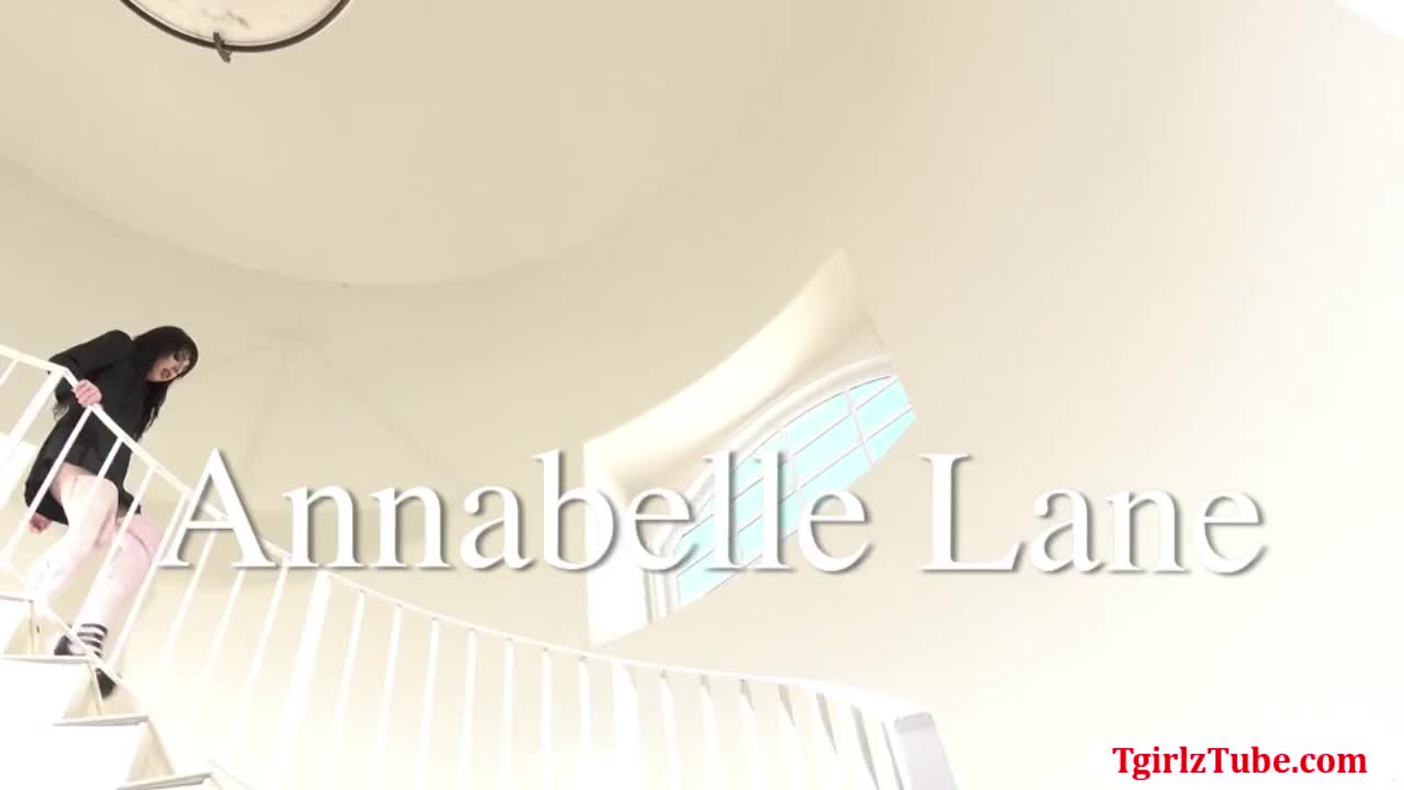 Watch Horny Guy finally gets a chance to fuck TBabe Annabelle Lane Shemale Porn Videos | TranSexBig.