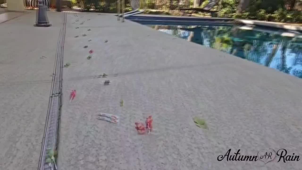 Watch 1984 Witch TGirl Shemale Porn Videos | TranSexBig.