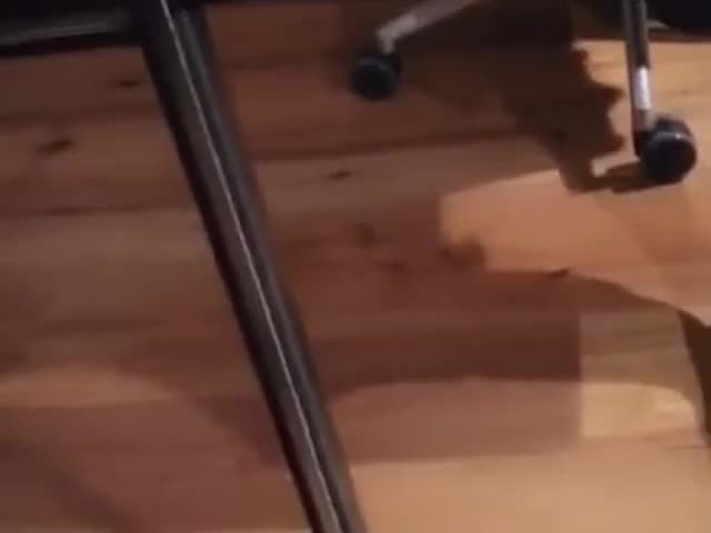 Watch Oriental Sexy crossdresser whit the mirror by KR Shemale Porn Videos | TranSexBig.