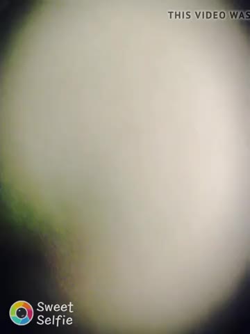 Watch not brother fuck me when we are alone home Shemale Porn Videos | TranSexBig.