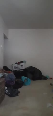 Watch older latina t-woman from Grindr couldn't resist my BBC. Shemale Porn Videos | TranSexBig.