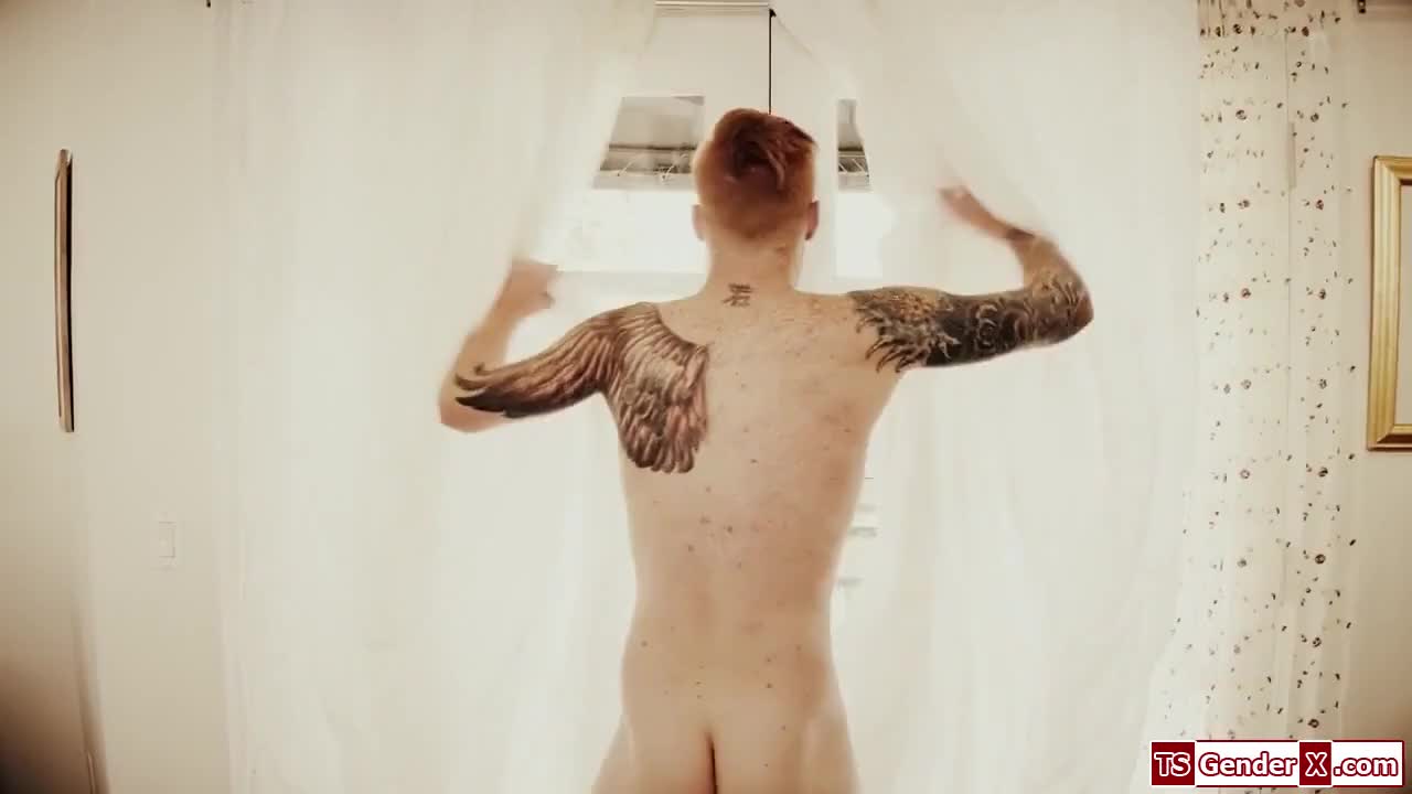 Watch Busty shemale Janelle Fennec barebacked Shemale Porn Videos | TranSexBig.