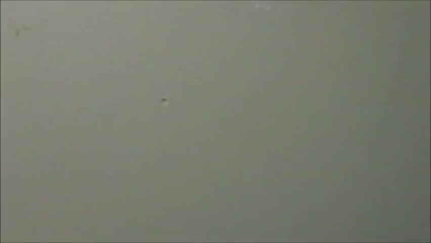 Watch Beautiful Crossdresser 222 Shemale Porn Videos | TranSexBig.