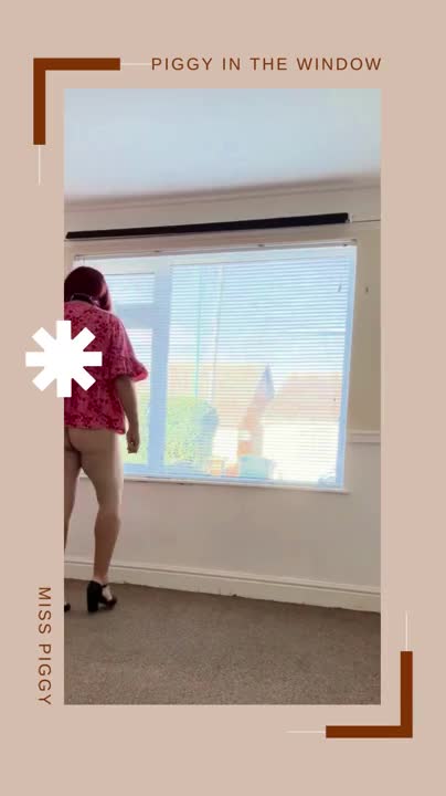 Watch sissy in a window Shemale Porn Videos | TranSexBig.