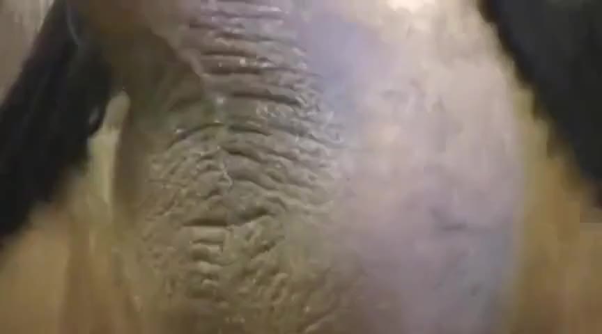 Watch wife material 2 Shemale Porn Videos | TranSexBig.