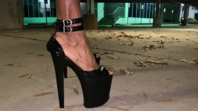 Ebony Cd Sissy Gina - Black Widow