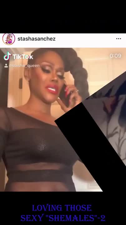 Watch Loving Those Sexy Shemales 2 Shemale Porn Videos | TranSexBig.