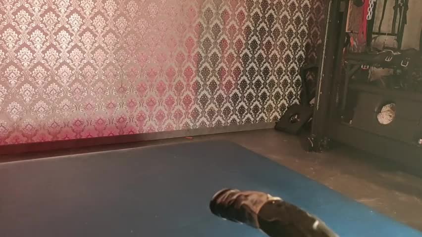 Watch Black Cat & Fuck Machine Shemale Porn Videos | TranSexBig.