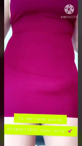 Watch She's bigger than you compilation Shemale Porn Videos | TranSexBig.