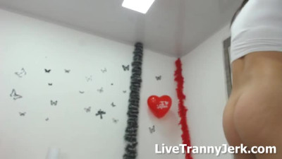 manuelasmith webcam tranny