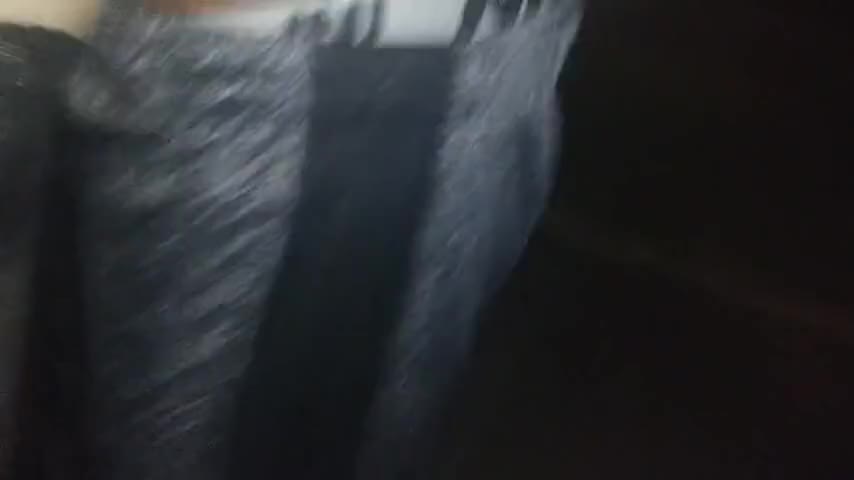 Watch Crossdresser Fucked by Black Cock cuckhubby p Shemale Porn Videos | TranSexBig.