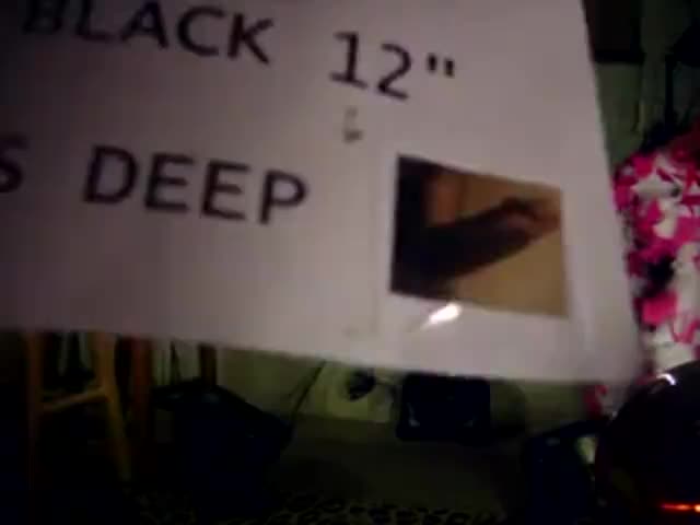 Watch Tgirl BBC slut teases her Black Bull's BB12C for black cum Shemale Porn Videos | TranSexBig.