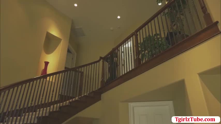 Watch Horny Guy didnt expect to fuck Ladyboy Guard Natalie Mars ass Shemale Porn Videos | TranSexBig.