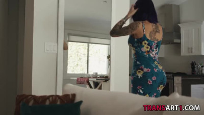 Shemale gets fucked by the plumber