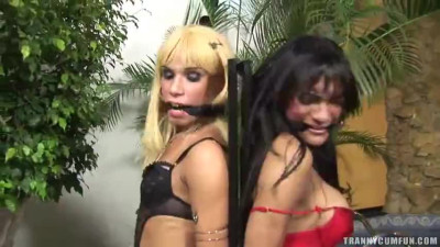 daniely and jo tied up shemales slapped fucked and f. to d. cum