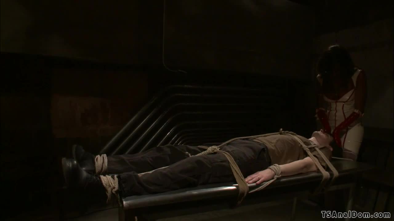 Watch Black TS anal fucks white man Shemale Porn Videos | TranSexBig.