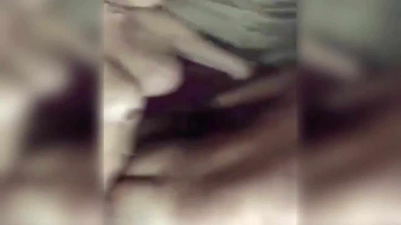 Watch Homemade Top Shemale Compilation 6 Shemale Porn Videos | TranSexBig.