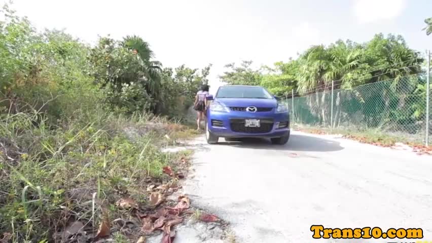 Watch Classy latina tgirl assfucked on couch Shemale Porn Videos | TranSexBig.