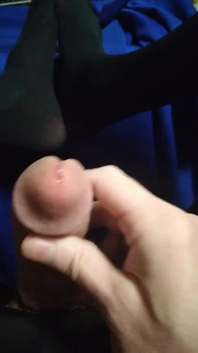 Watch Who wants to lick the precum from my hard sissy cock in pantyhose Shemale Porn Videos | TranSexBig.