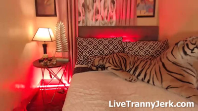 hugecockcara Ts Cam Show