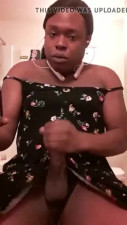 Shemale 437