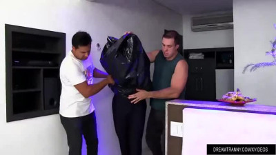 Two Thugs Have Their Way with Sultry Transsexual Erika Lee
