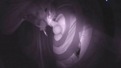 Sissy and SilkeTrav sucking and fucking at the Gloryhole