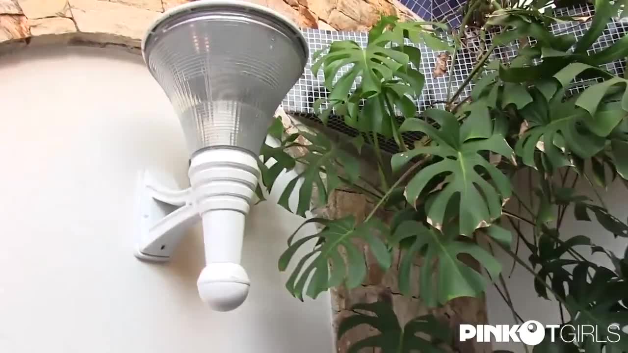 Watch Priscilla Reis, Luana Pacheco, Paulo Macky - in threesome Shemale Porn Videos | TranSexBig.