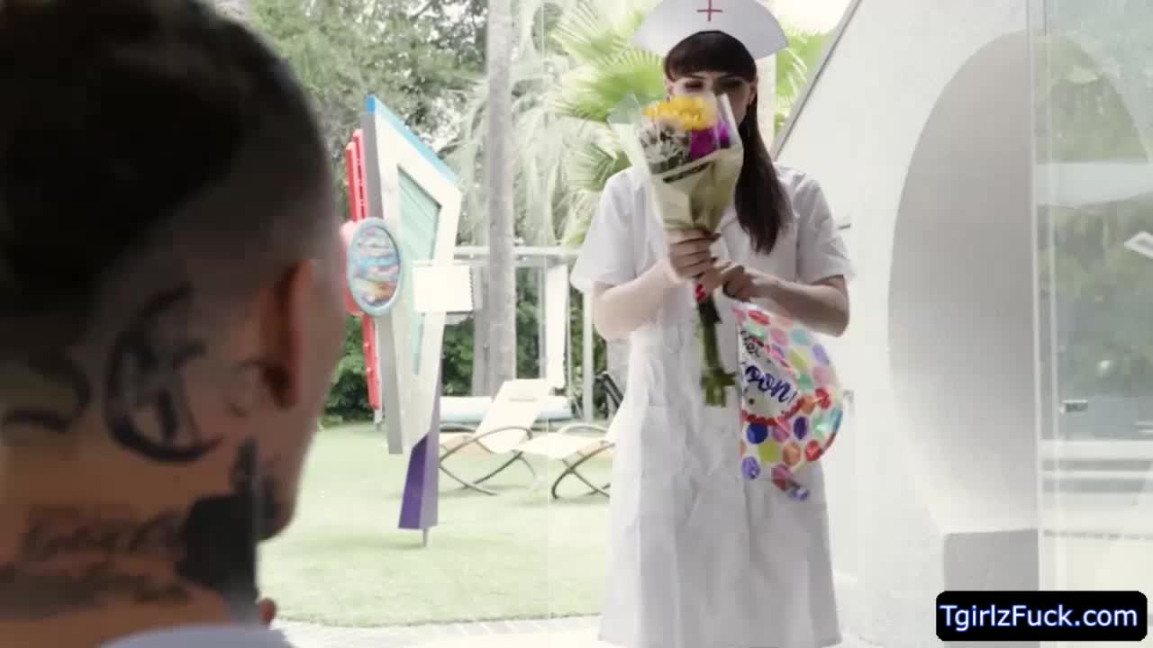 Watch Super slim tbabe Natalie Mars analed by tattoed guy Shemale Porn Videos | TranSexBig.