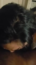 ts
