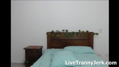 webcam LiveLive9