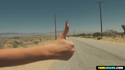 Guy picks up Hitchhiker Tgirl For Van Sex