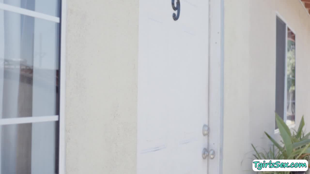 Watch Busty ts superstar Andrea Zhay fucks another dudes cock Shemale Porn Videos | TranSexBig.