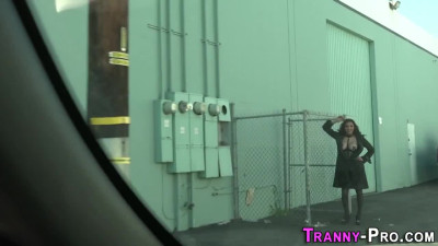Hot tranny pro riding dick