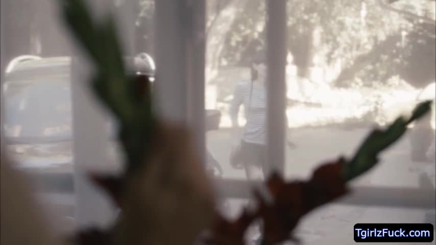 Watch TS Natalie slides her shedick inside the pussy of her roommate Reagan Shemale Porn Videos | TranSexBig.