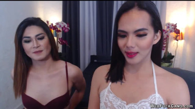 Shemale girlfriends fucking on cam