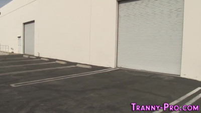 Transgender latina whore in stockings