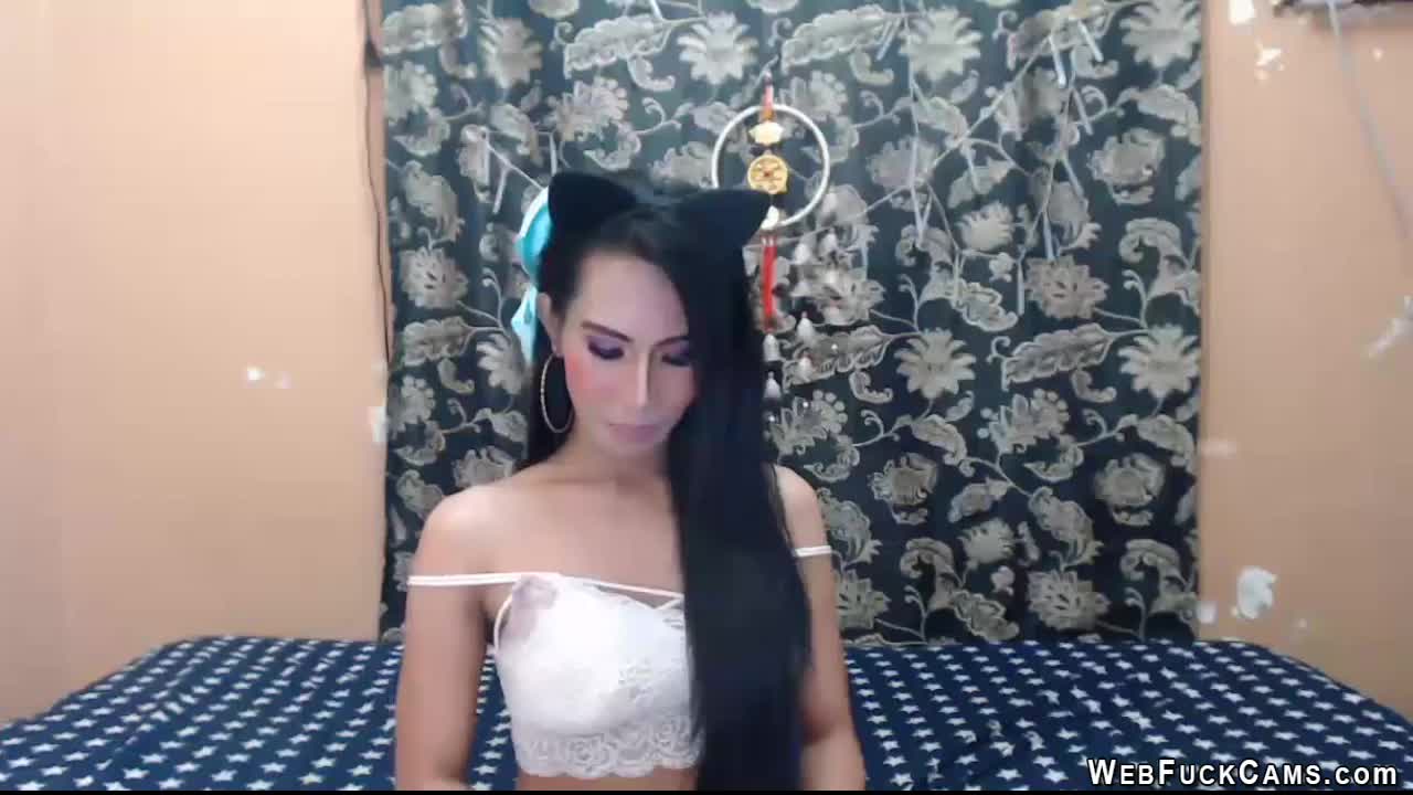 Watch Long haired shemale wanking on cam Shemale Porn Videos | TranSexBig.