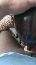Kelli-Ann Latex Blowjob 2