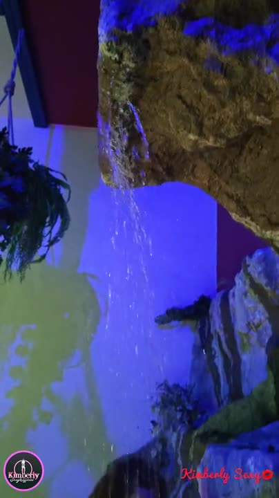 Watch Kimberly Sexy BIG Cock swimming pool Shemale Porn Videos | TranSexBig.