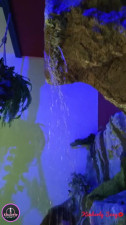 Kimberly Sexy BIG Cock swimming pool