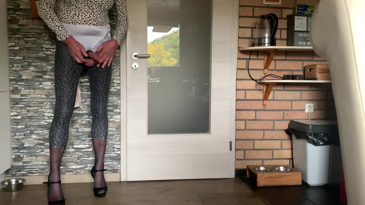 Watch Nylon Cum Shemale Porn Videos | TranSexBig.