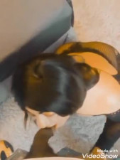 Mi nuevo macho negro me pone a chupar su verga negra